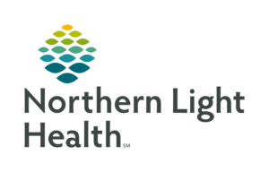 About Northern Light